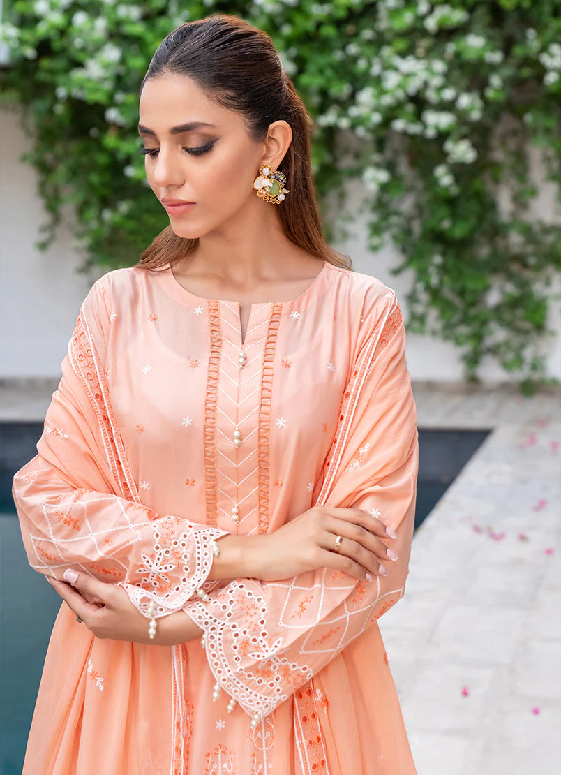 Addee USA-1057 Mehro Maah Collection 2024 - Image 2