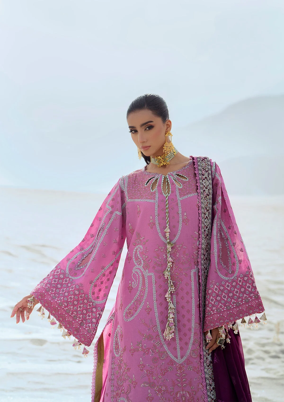AIK Atelier Raqs Look 01 Lawn Vol 1 2025 - Image 2