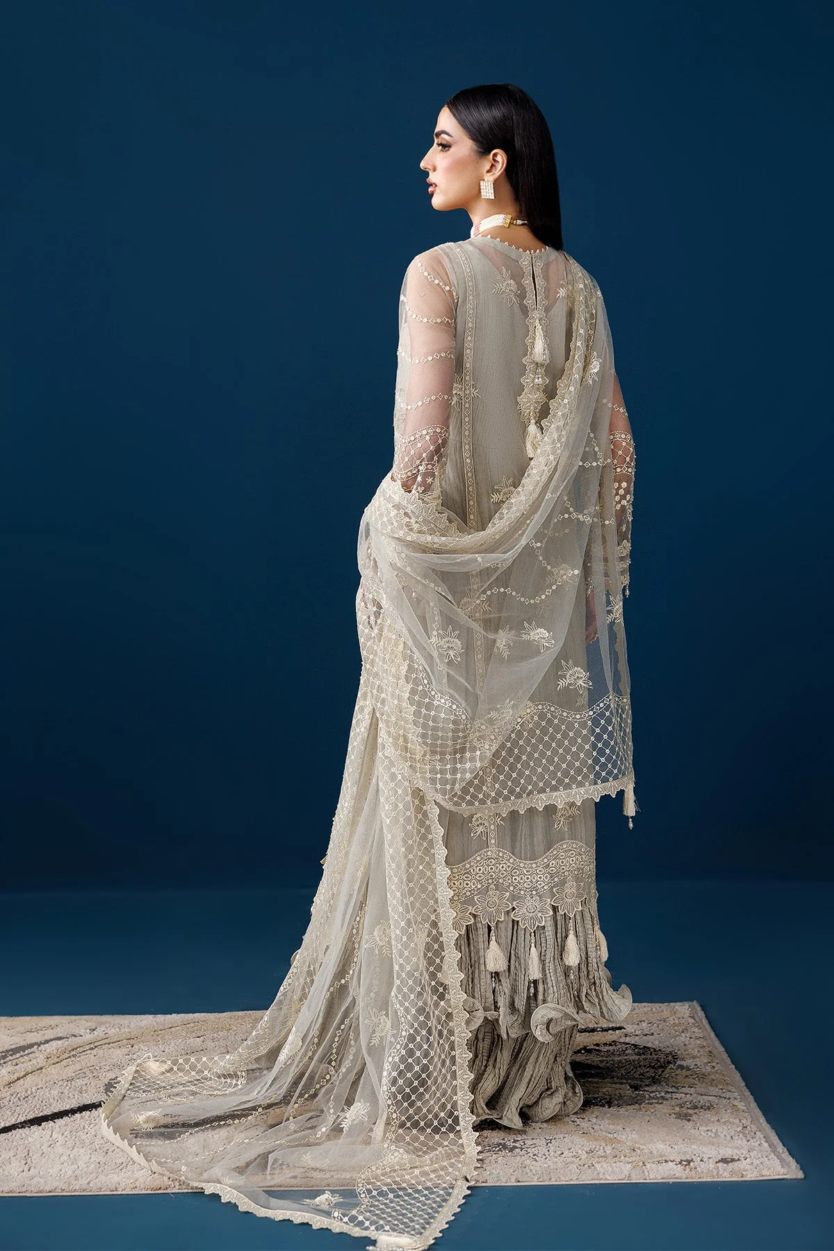 Alizeh AF-NHM-4056 Velor Luxury Wedding Formals 2025 - Image 2