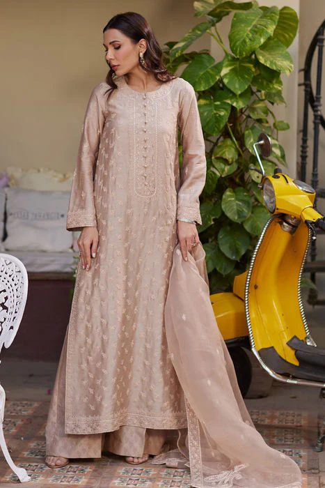 Ansab Jahangir Ria Eid Luxe Pret 2025