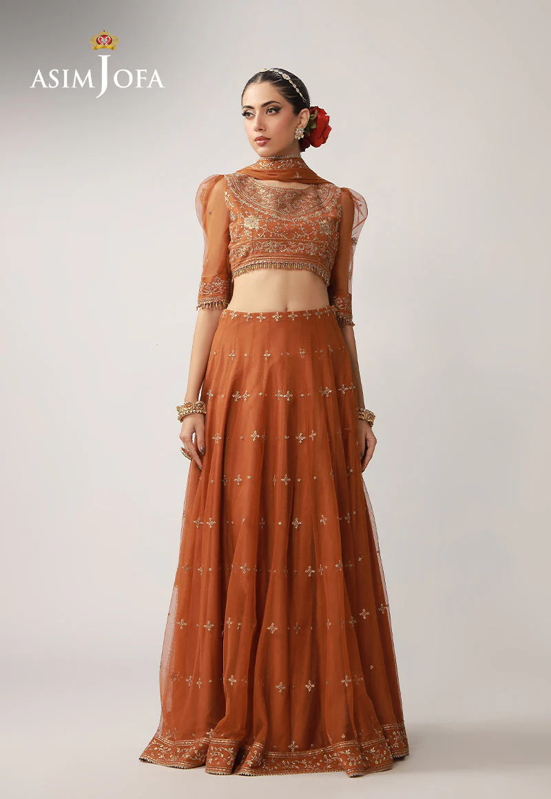 Asim Jofa AJULO-01 Layaan Festive Collection 2025 - Image 2