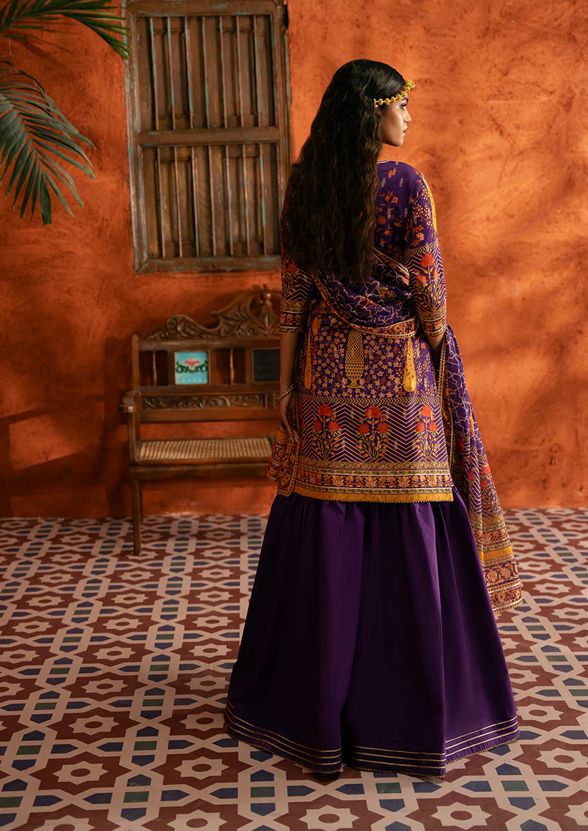 Bonanza Kamdani - 3 Pc (WU3PPFS25ZA6) Satrangi Winter Collection 2025 - Image 2