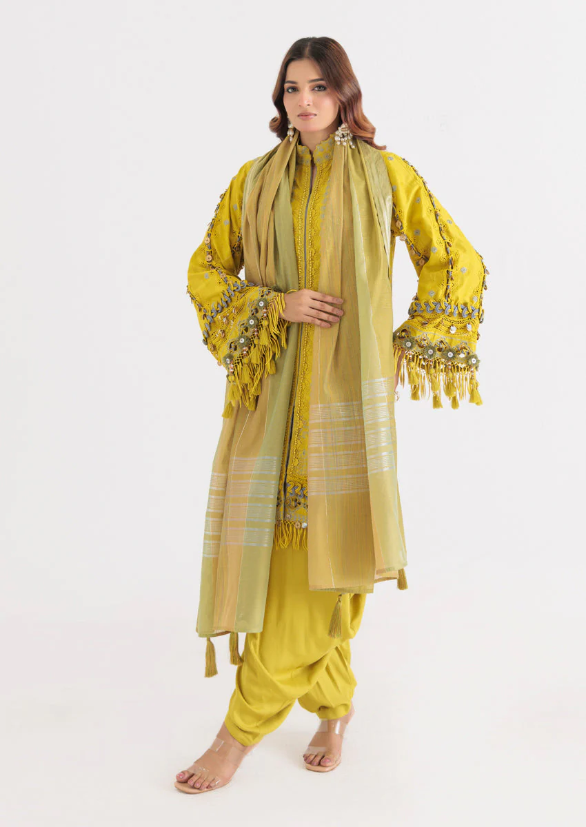 Bonanza Olive Aura - 3 Pc (WUS25DE3049) Satrangi Winter Collection 2025