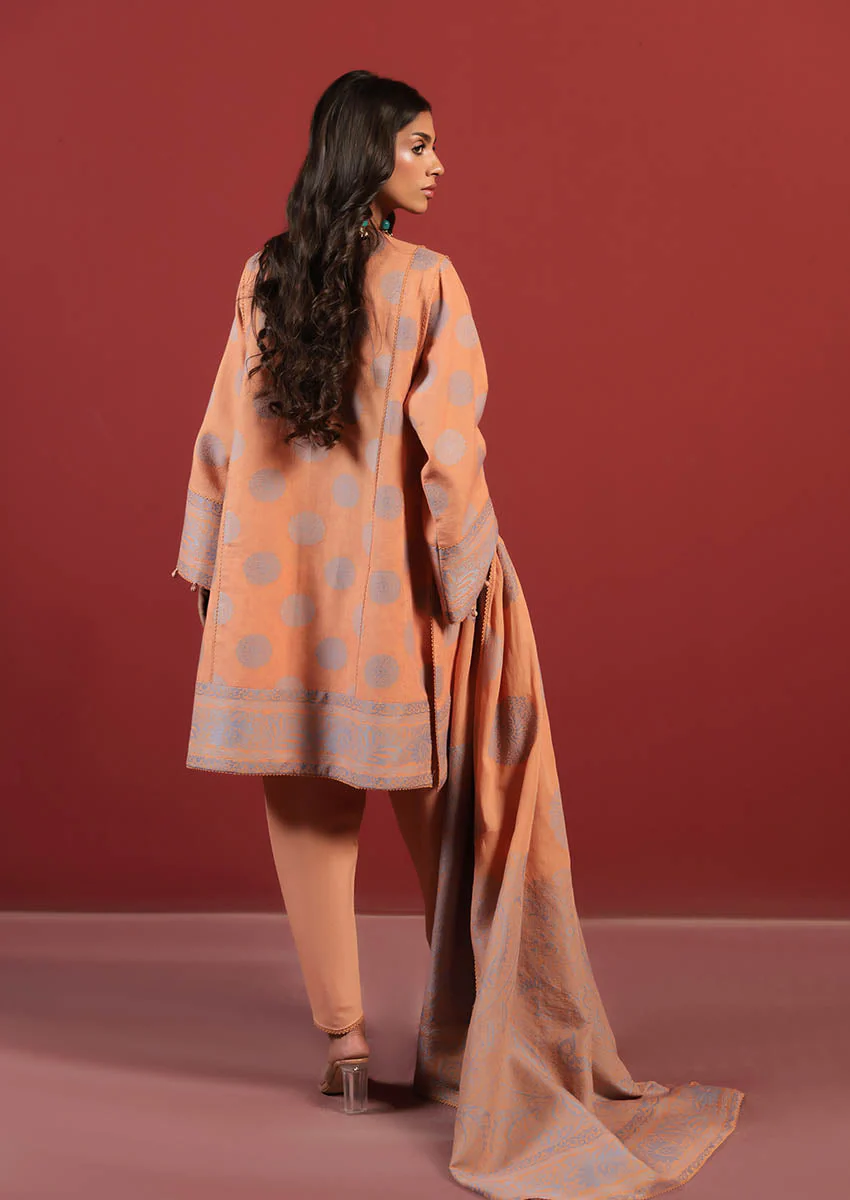 Bonanza Orange-Jacquard-3 Pc (WUS25JD3029) Satrangi Winter Collection 2025 - Image 2