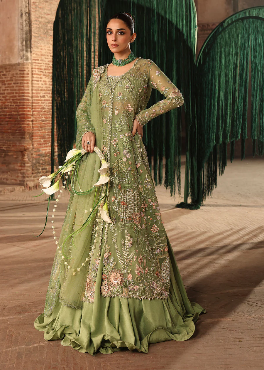 Crimson Matwali Jilmil Wedding Collection 2026