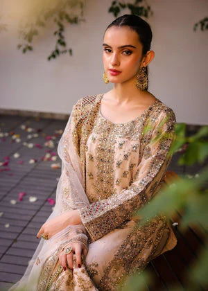 Haseen Anishka Beige Saanjh 2025 - Image 2