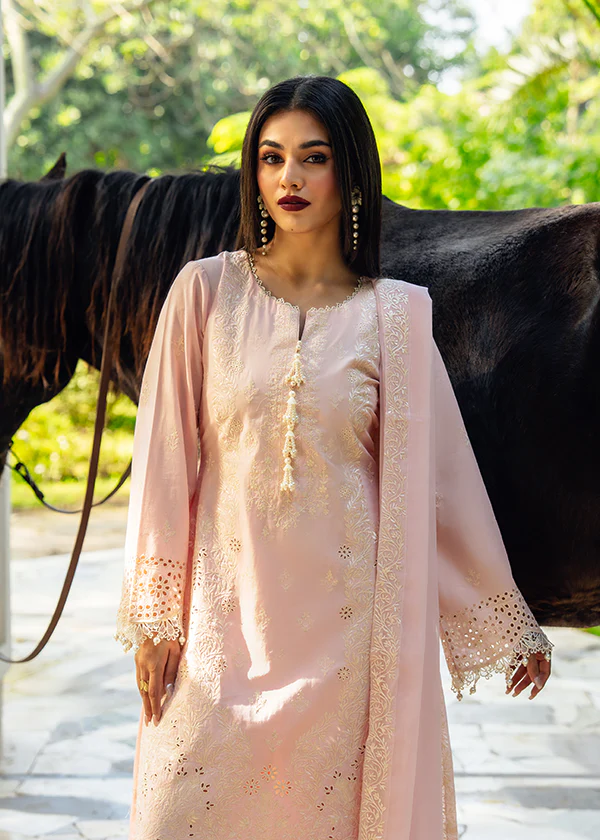 Haseen Official Nura-19 NOORÉ 2025 - Image 2