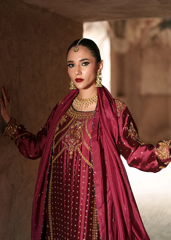 Haseen Official Paimana-1 Naqsh 2025 - Image 2