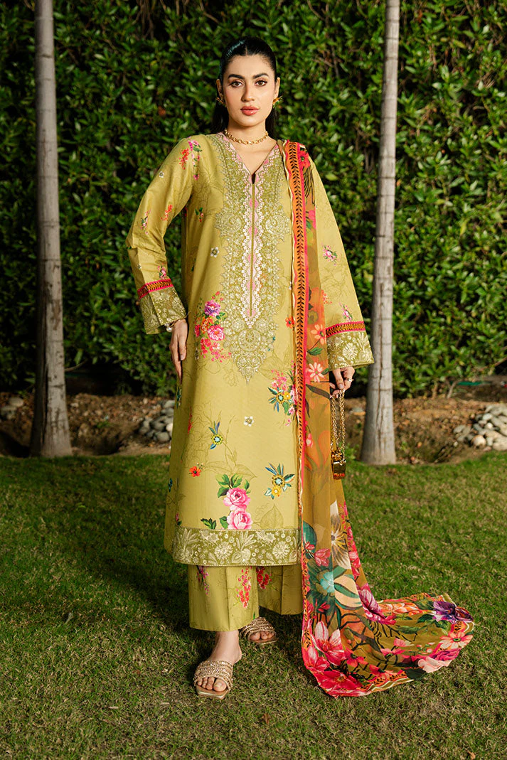 Imrozia Premium SL-120 Lime Sorbet Dahlia Summer Lawn 2026