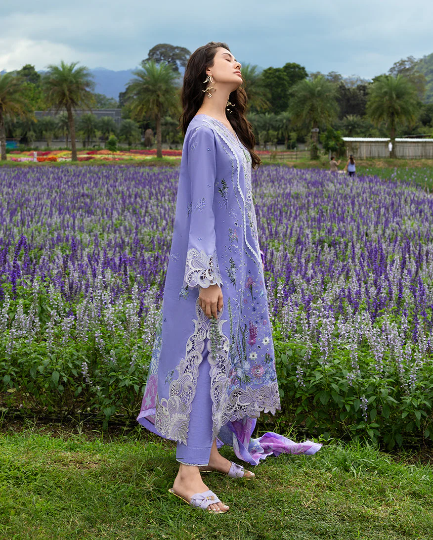 Mushq Daisy Reverie Online Shopping - Image 2