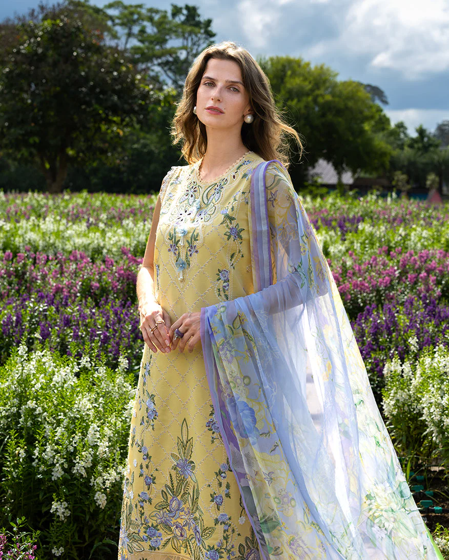 Mushq Sunlit Meadow Online Shopping