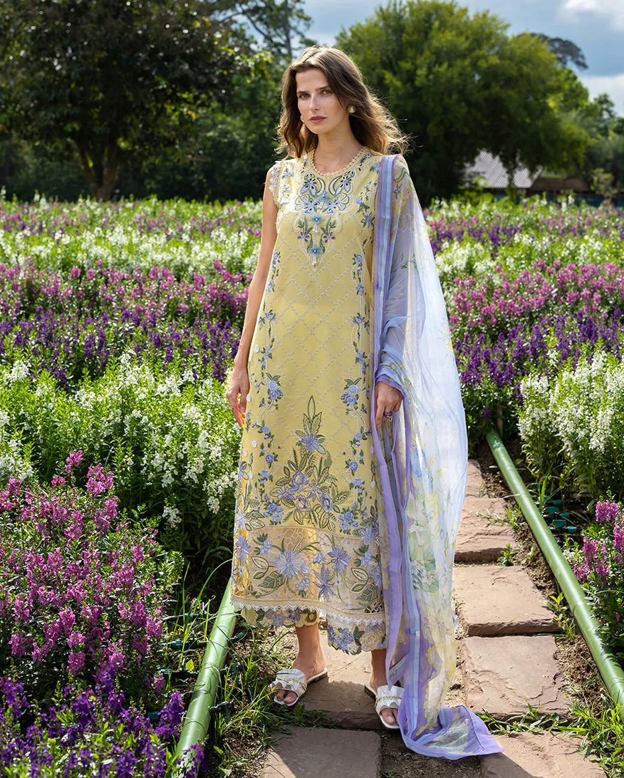 Mushq SunlitMeadow The Secret Garden 2026