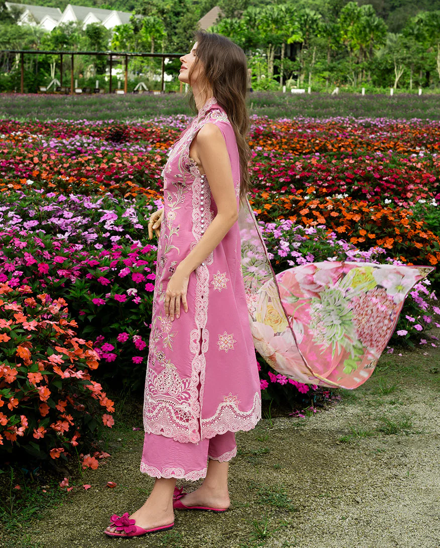 Mushq Whimsical Scent Online Shopping - Image 2