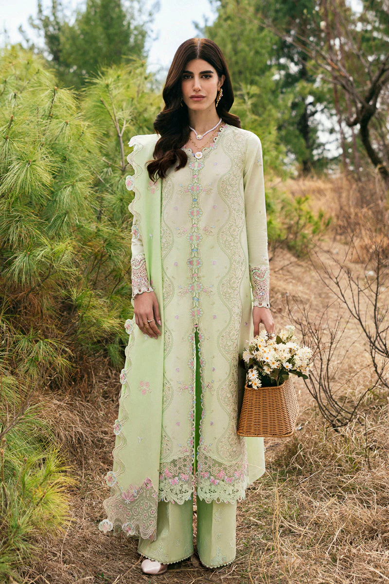 Qalamkar DC-14 Meline Qlinekari 2025