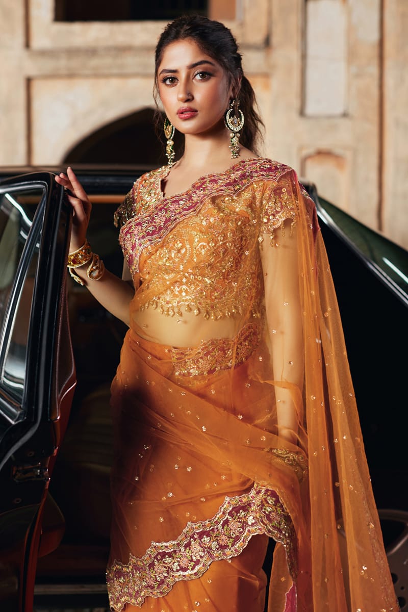 Qalamkar Raniya SH-02 Shadmani Luxury Formals 2025 - Image 2