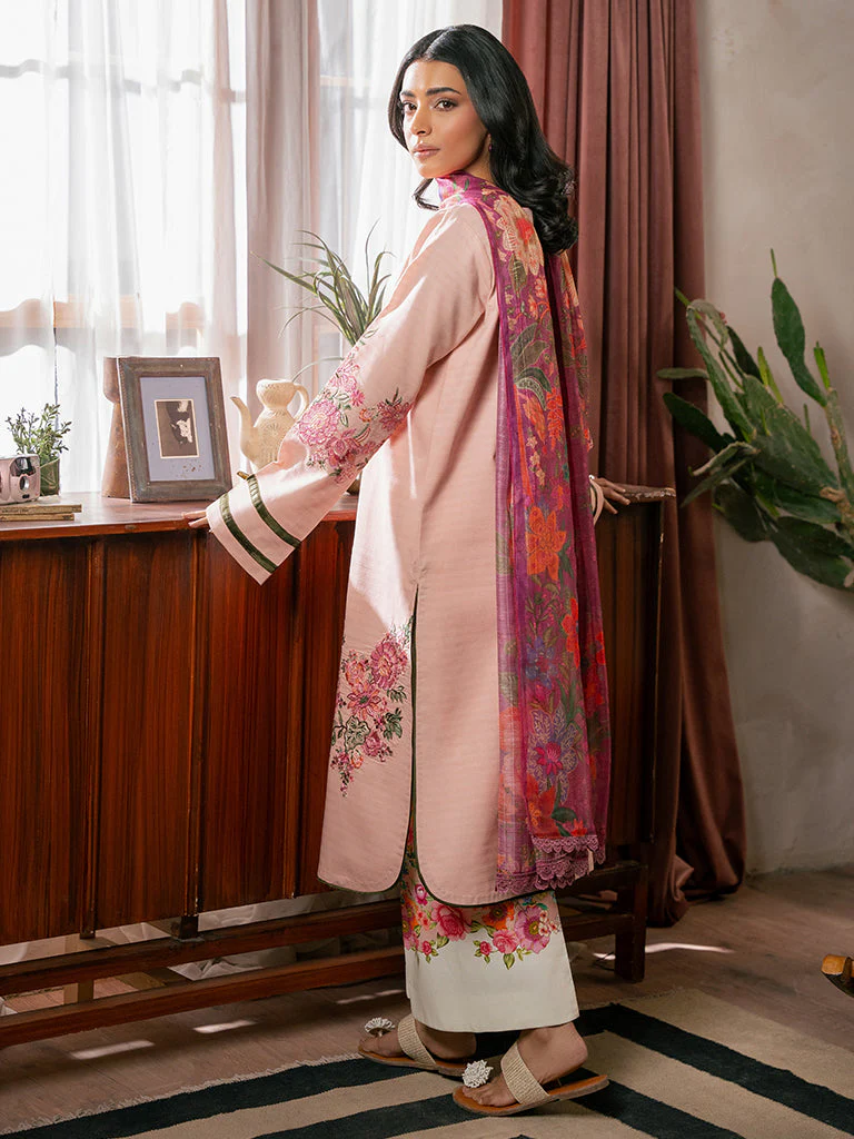 Raj Bari Design # 12 Parisa Premium Summer Edit 2025 - Image 2