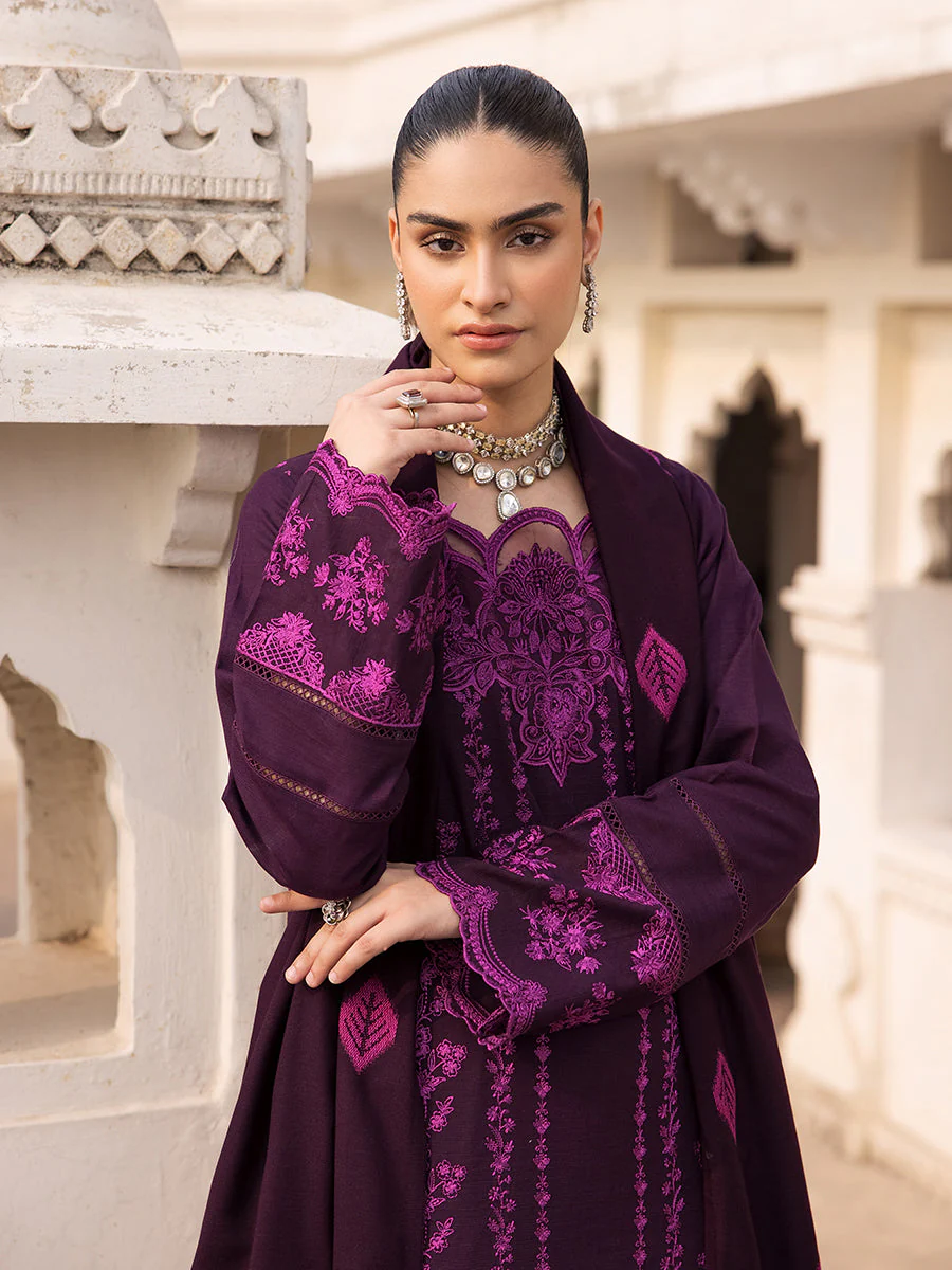 Raj Bari Premium Shawl 24 5A Premium Winter Shawl 2024 - Image 2