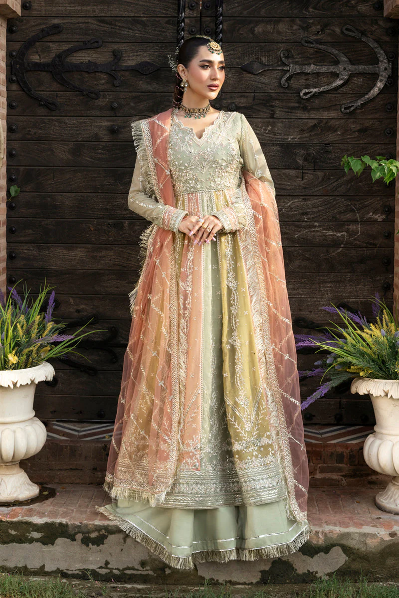 Rang Rasiya Amil Mere Yaar Ki Shaadi Hai 2025