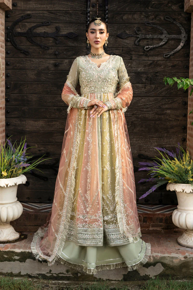 Rang Rasiya Amil Mere Yaar Ki Shaadi Hai 2025 - Image 2
