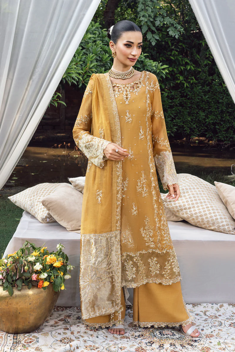Rang Rasiya Misha Mere Yaar Ki Shaadi Hai 2025