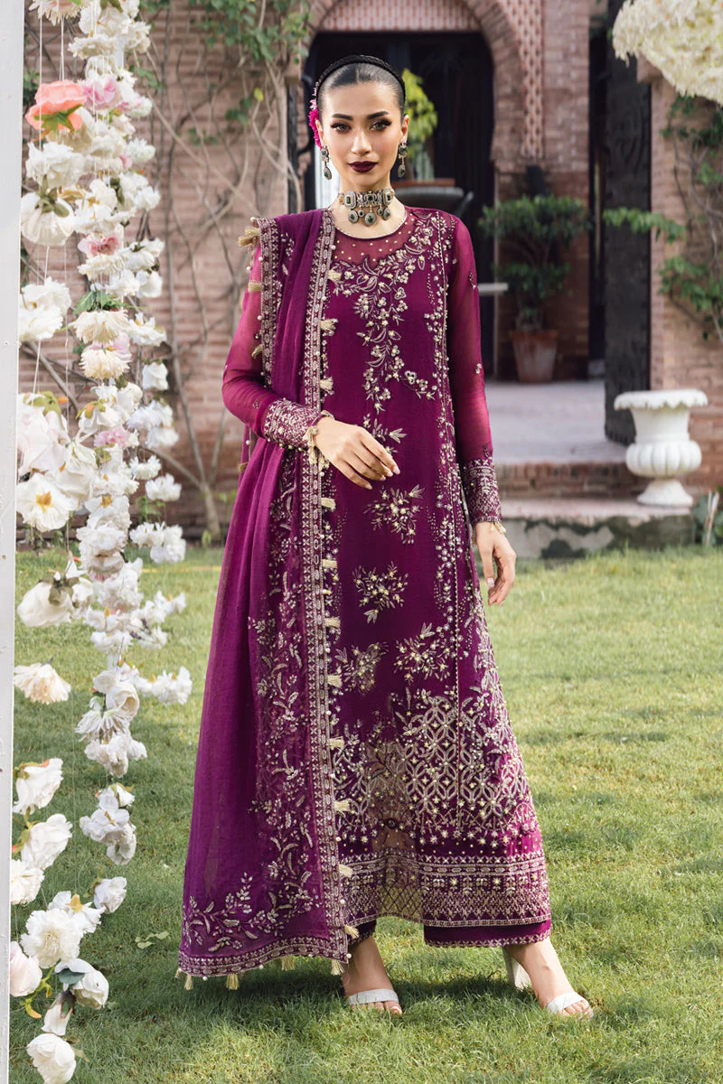 Rang Rasiya Nimir Mere Yaar Ki Shaadi Hai 2025