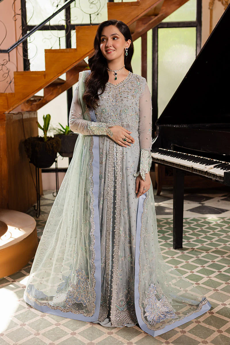 Roheenaz Aaliyah Naira Chiffon 2024