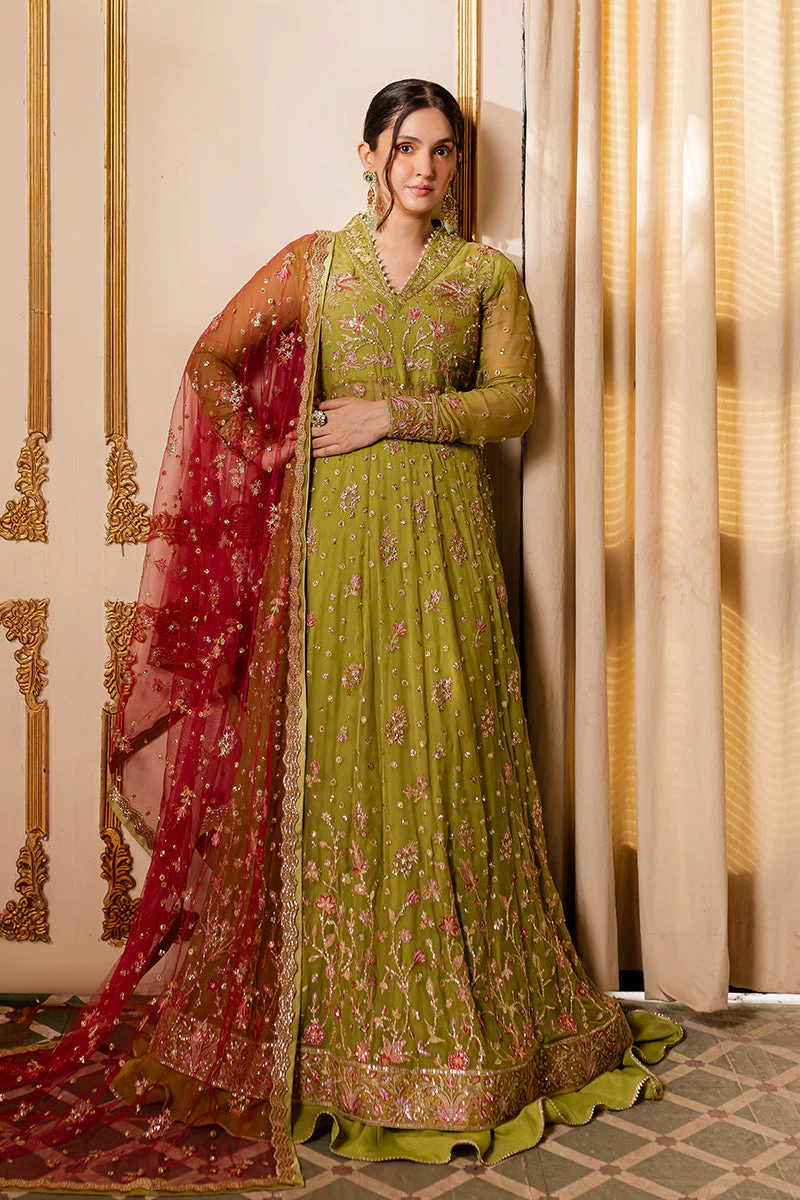 Roheenaz Inaya Naira Chiffon 2024