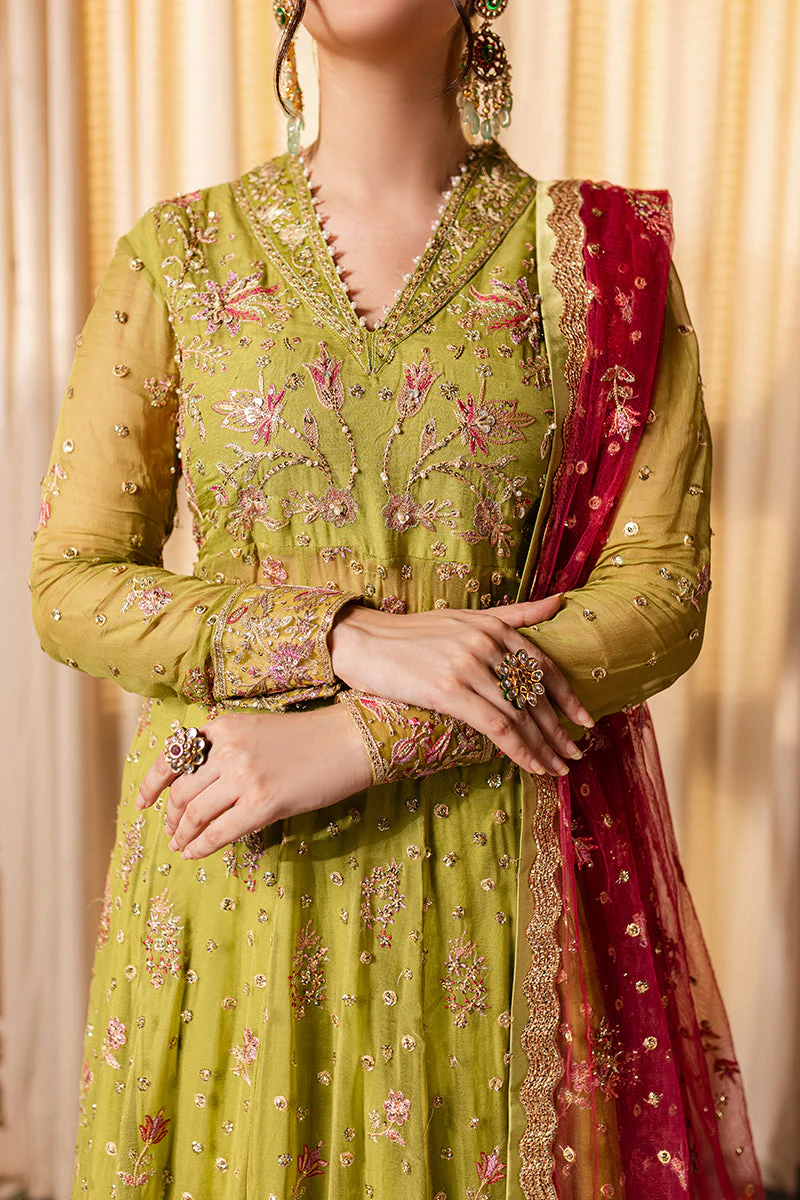 Roheenaz Inaya Naira Chiffon 2024 - Image 2