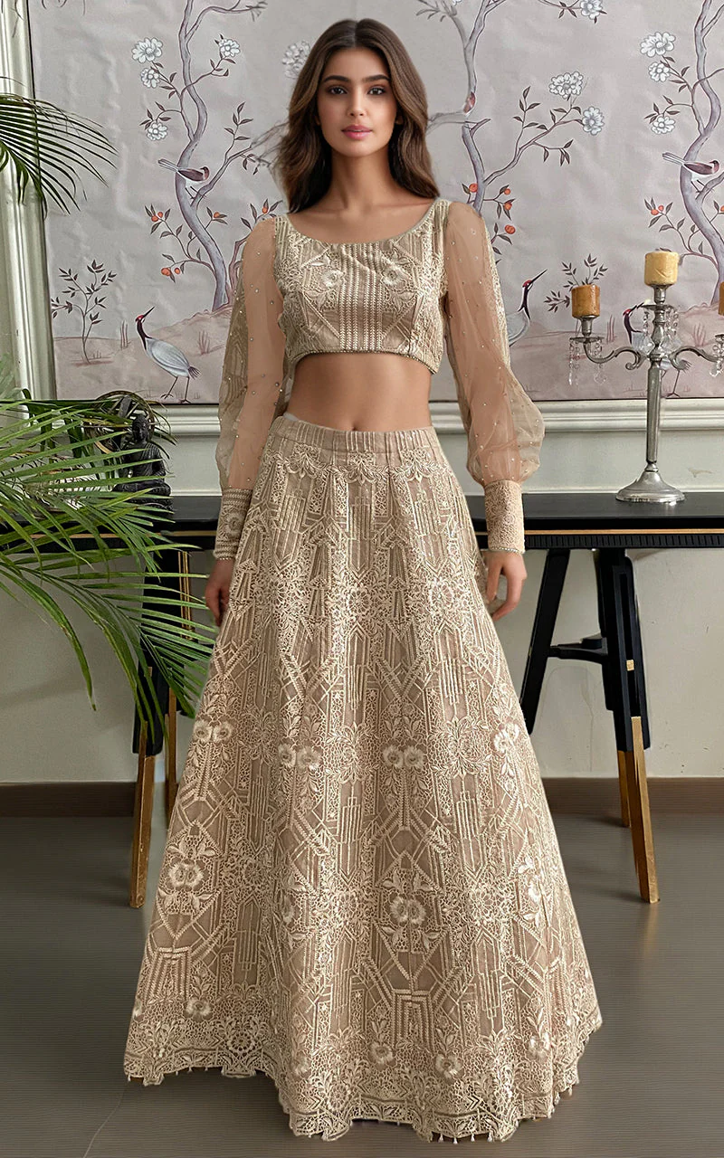 Thread & Motifz Organza Embroidered Blouse And Embroidered Lehenga Formal Pret 2024