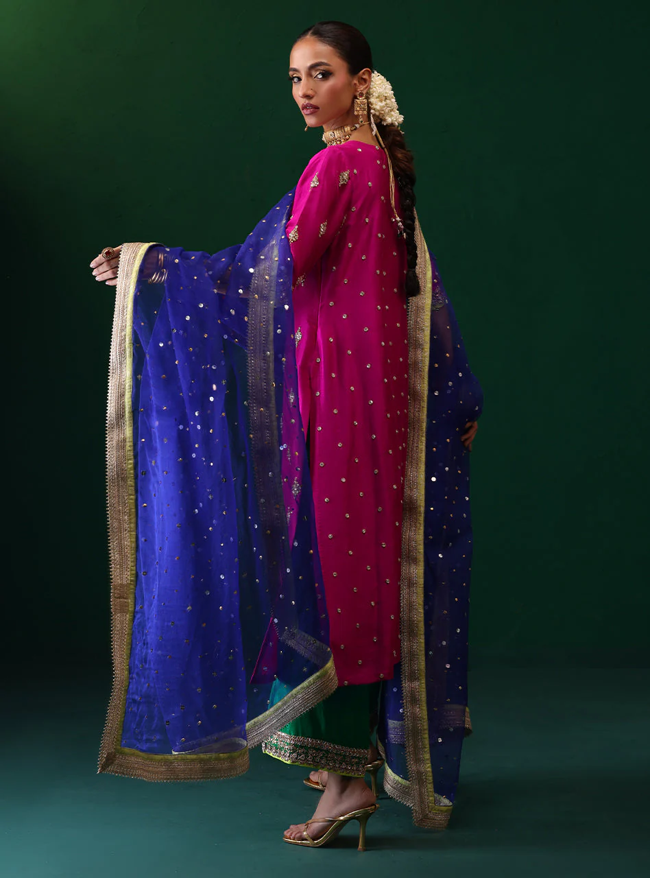 Zainab Chottani Zenel Semi Formals 2025 - Image 2